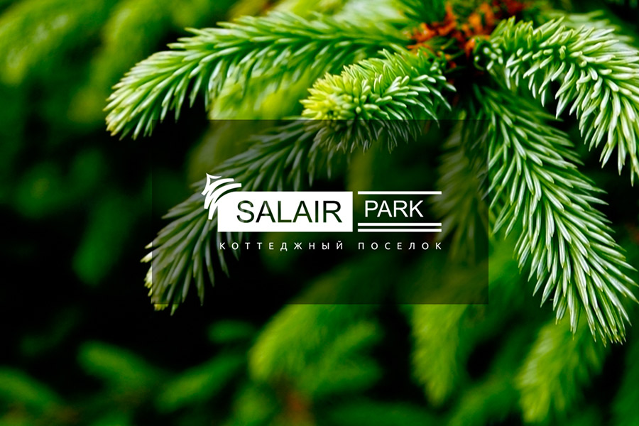 Концептуальный поселок SALAIR park